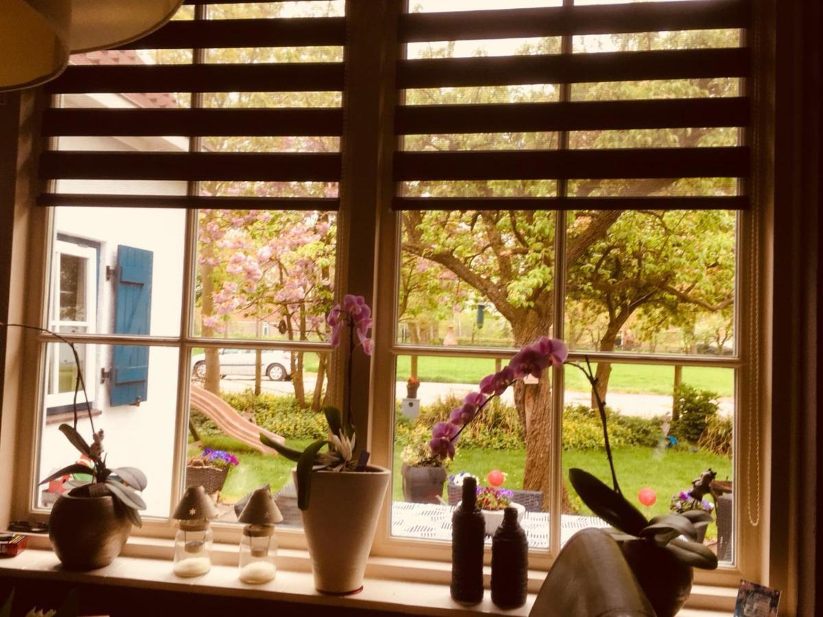 B&B Marialin Wijdewormer Exteriör bild